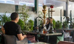 hide hookah lounge|Top 8 Best Hookah Lounges in Cape Town .